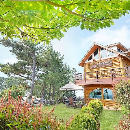 Attene Pension Čedžu Exteriér fotografie